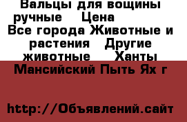 Вальцы для вощины ручные  › Цена ­ 10 000 - Все города Животные и растения » Другие животные   . Ханты-Мансийский,Пыть-Ях г.
